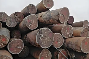 China's import van Sapelli Wood nam toe